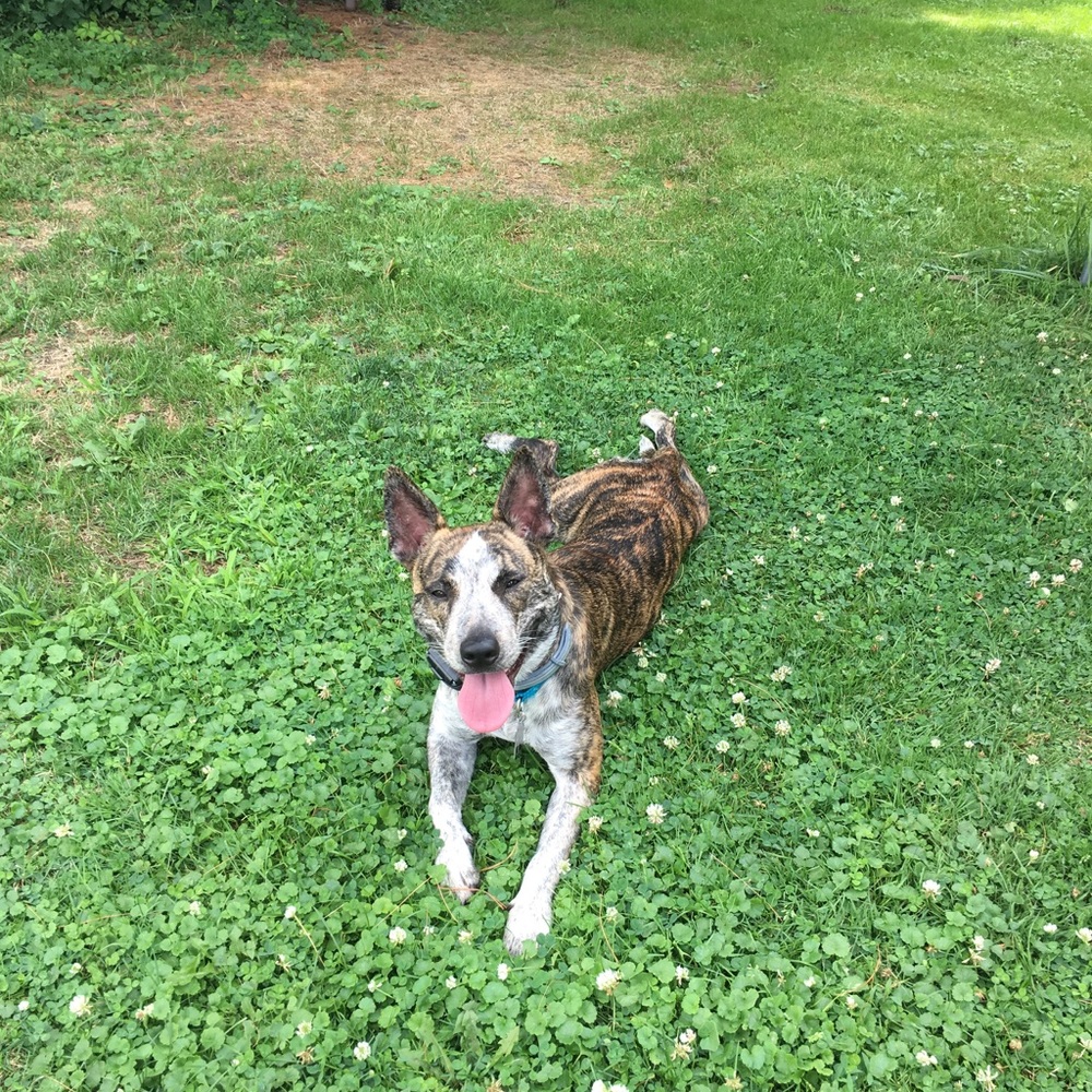 Meet your Posher, Esther